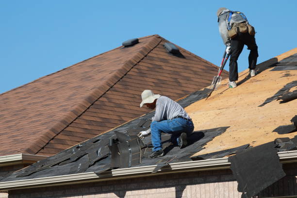 Best Roof Maintenance  in Dawsonville, GA