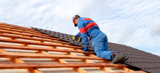 Professional  Roofing repair and installation in Dawsonville, GA