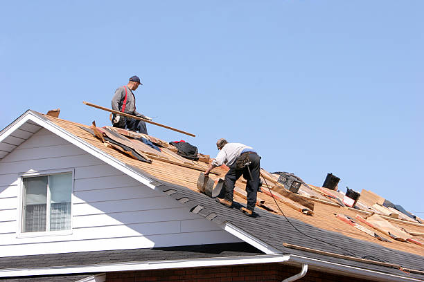 Best Roof Maintenance and Cleaning  in Dawsonville, GA